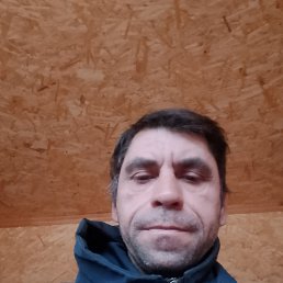 ���� ������, �����-���������, 42 ���� - ��������� 27 ������ 2026