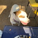  Kaan, , 48  -  12  2025    