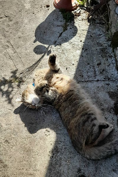 � �� �������� ����.
