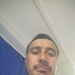 , 43, -