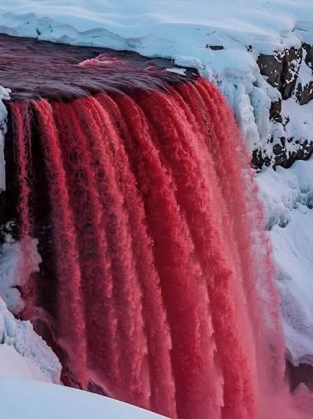 :)            .    , ... - 2