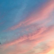 �������, 24 ����, ������