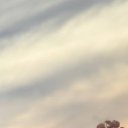 ���� ���������, ������� - ��������� 16 ������ 2025 � ������ ���� ����������