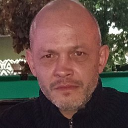 ������, �������, 44 ����