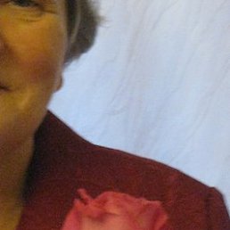 ��������, �����-���������, 88 ���