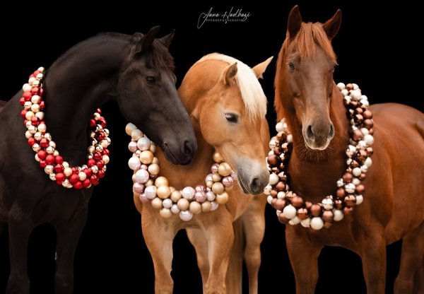  -   ! - 30  2025  18:08