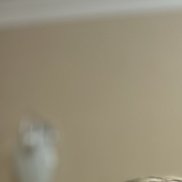 �����, 21 ���, ���������