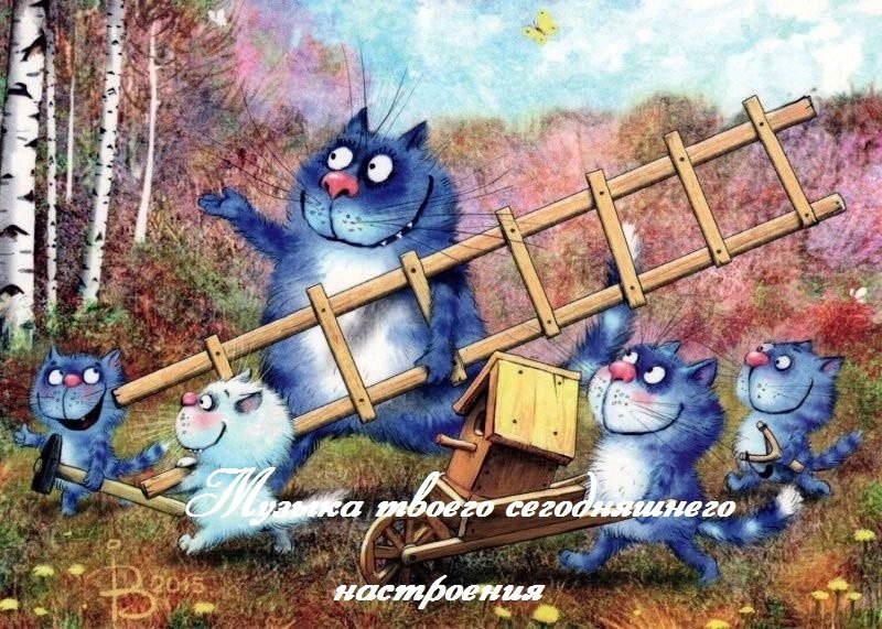  - 6  2025  04:46