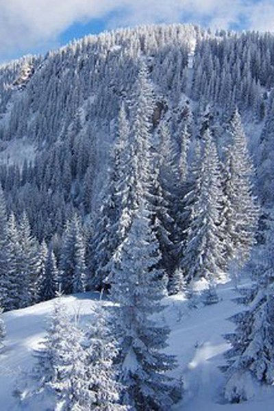 Изведать то, чего не ведал сроду, Глазами, ртом и кожей пить простор... Кто в океане видит только ... - 3