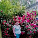 ���� �������, ������, 71 ��� - ��������� 22 ����� 2024 � ������ ���� ����������