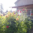 ���� �����, �����-�������, 37 ��� - ��������� 3 ������� 2024 � ������ ���� ����������