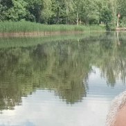 �������, 40 ���, �������