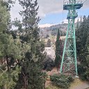 ���� ������ �����, �������, 55 ��� - ��������� 23 ������� 2025 � ������ �����