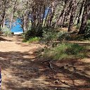 ���� Sergei, ����� - ��������� 15 ������ 2026