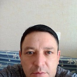 , 44, 