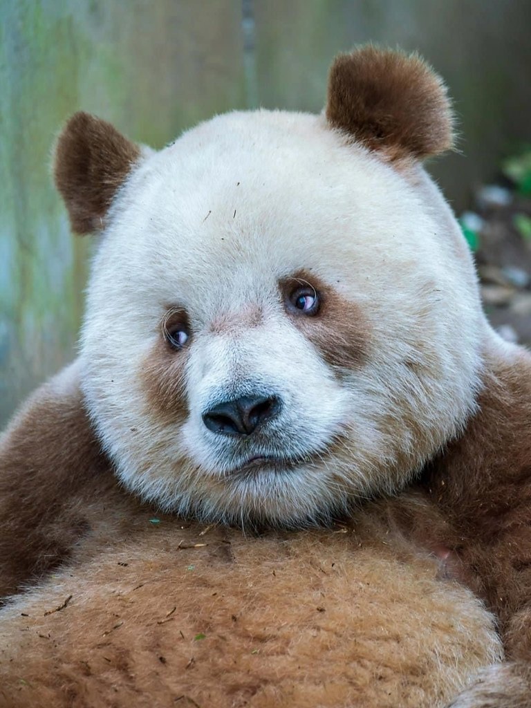   ,      .   ,       ...