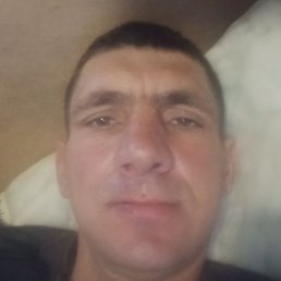 ������, �����-���������, 41 ���