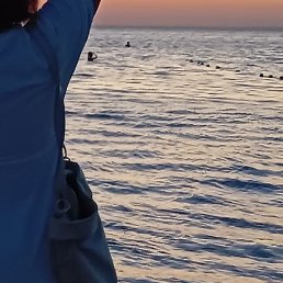 Natali, �������