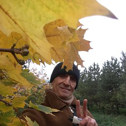 , 50, 