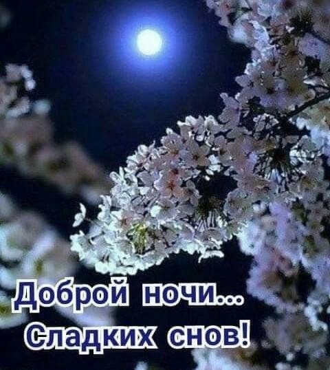 ����������� � ���������, �������� �� ������ ����. - 19 ��� 2026 � 21:04