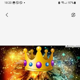 �������, ������, 49 ���