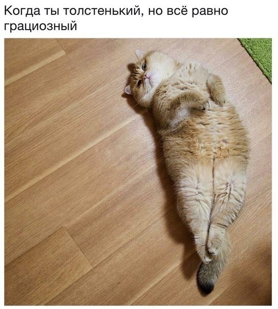 �����? ��, �� �������! - 3 ������� 2024 � 06:39