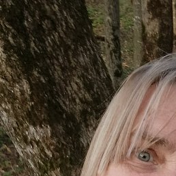 �����, ������, 63 ����