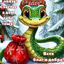 ���� ����, ������ - ��������� 30 ������� 2024 � ������ ������ ��������