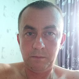 ������, ����, 46 ���