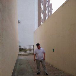 ������, ������, 50 ���