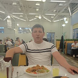 , 37, 