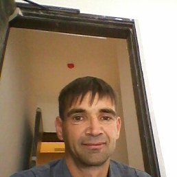 , 41 , 