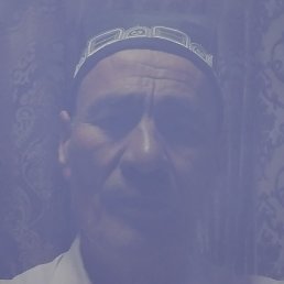 �����, �����, 62 ����