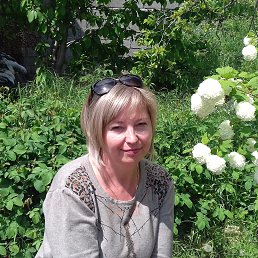 ���� ��������, �����������, 51 ��� - ��������� 25 ������ 2024