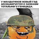  , -, 41  -  30  2024    