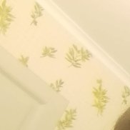 ������, 46 ���, ����