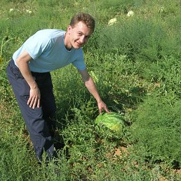 ���������, ������, 49 ���