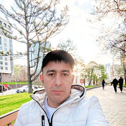 ���� ����, ������, 42 ���� - ��������� 23 ������ 2024