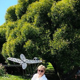 ���� �����, �����-���������, 58 ��� - ��������� 29 ����� 2026