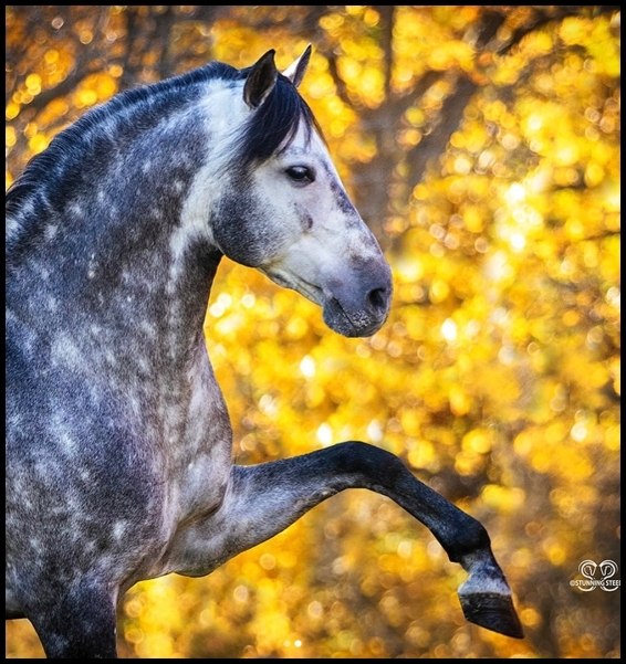  -   ! - 10  2025  14:14