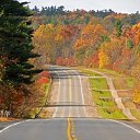 ���� �������, �����������, 71 ��� - ��������� 27 ������� 2023 � ������ ���� ����������