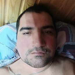 �����, ���������, 42 ����