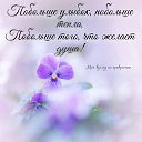 ���� ��������, ������� - ��������� 20 ��� 2026 � ������ ������ ��������