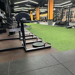 �����, ���������, 38 ���