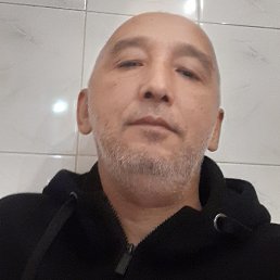 , 52, 