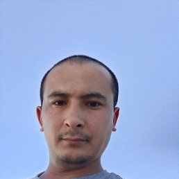 ���� Afzal, ������, 31 ��� - ��������� 29 ���� 2026