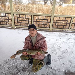 ���� ������, ��������, 65 ��� - ��������� 26 ������� 2026