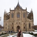 ���� ��������, ���� - ��������� 11 ������ 2026 � ������ ������ �����