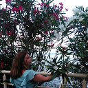���� ����, �������, 52 ���� - ��������� 29 ������� 2024 � ������ ���� ����������