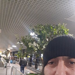 ���� ���, ������, 41 ��� - ��������� 12 ������ 2024